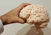 Фото - Ученые: преступниками людей делает поврежденный мозг
