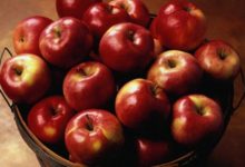 Фото - Чего вы еще не знали о пользе яблок? Неожиданные факты!