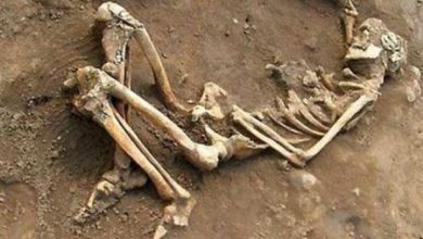 Фото - Ученые нашли останки людей, живших 300 тысяч лет назад