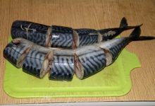 Фото - Диетолог Гинзбург порекомендовал есть морскую рыбу для повышения устойчивости к стрессу