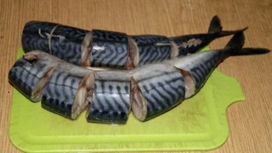 Фото - Диетолог Гинзбург порекомендовал есть морскую рыбу для повышения устойчивости к стрессу